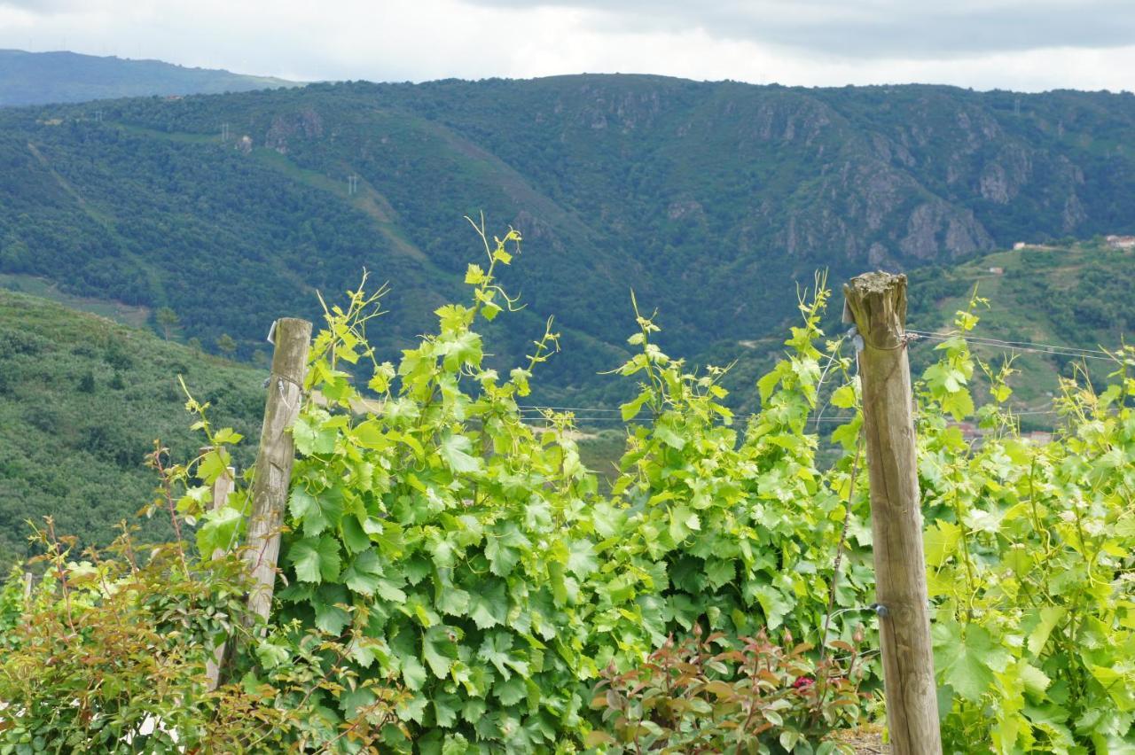 Апартаменти O Muino Casa Ferrador Ribeira Sacra Barantes Екстер'єр фото